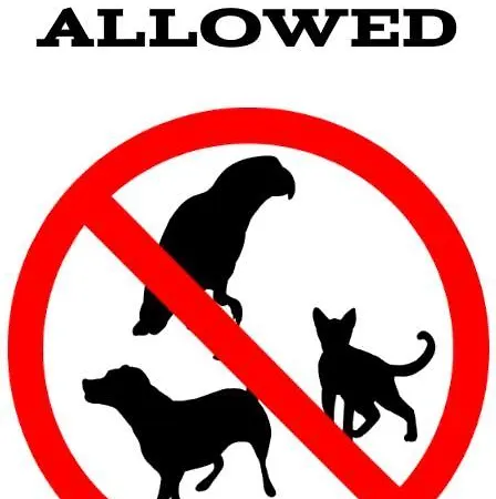 شقة - Armii Krajowej 11 *